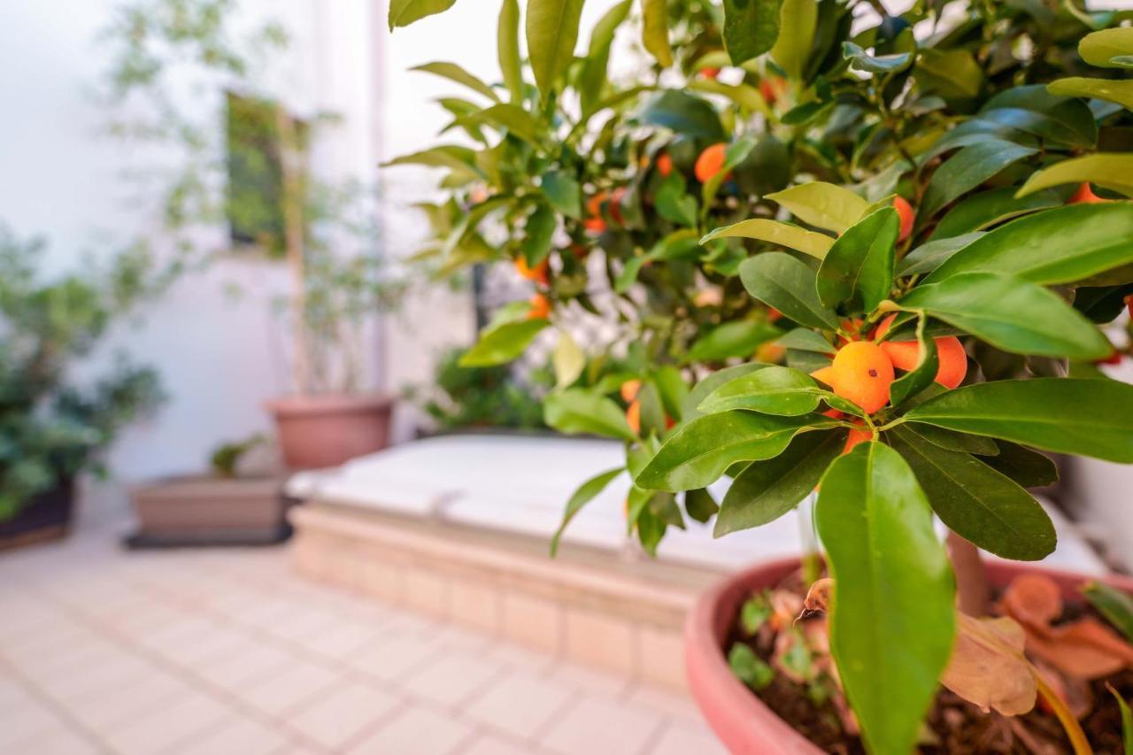 Bed And Breakfast Cairoli Exclusive Room San Pietro Vernotico Ngoại thất bức ảnh